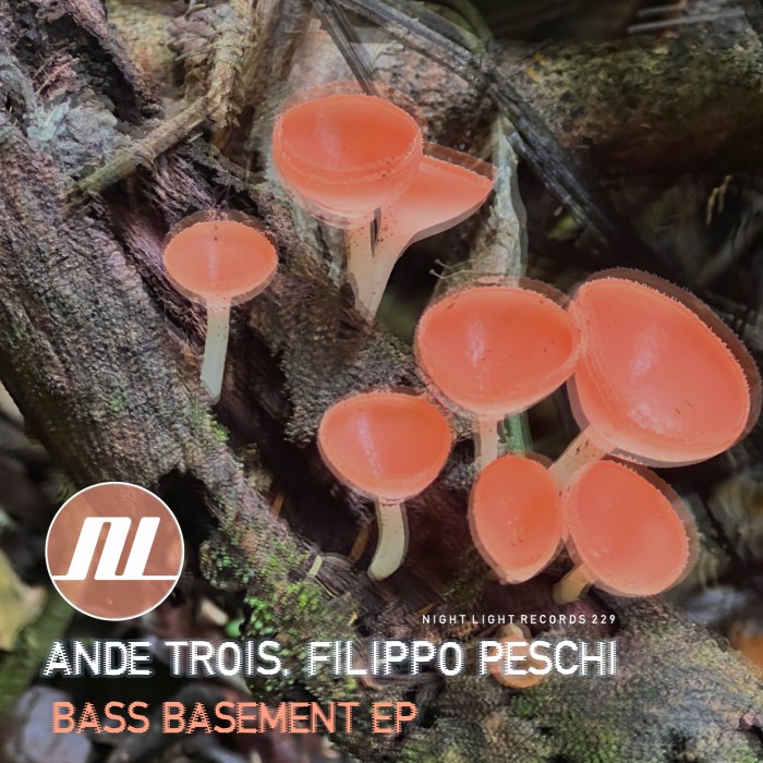 AnDe Trois, Filippo Peschi - Bass Basement EP